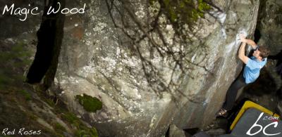 Marten in "Red Roses"